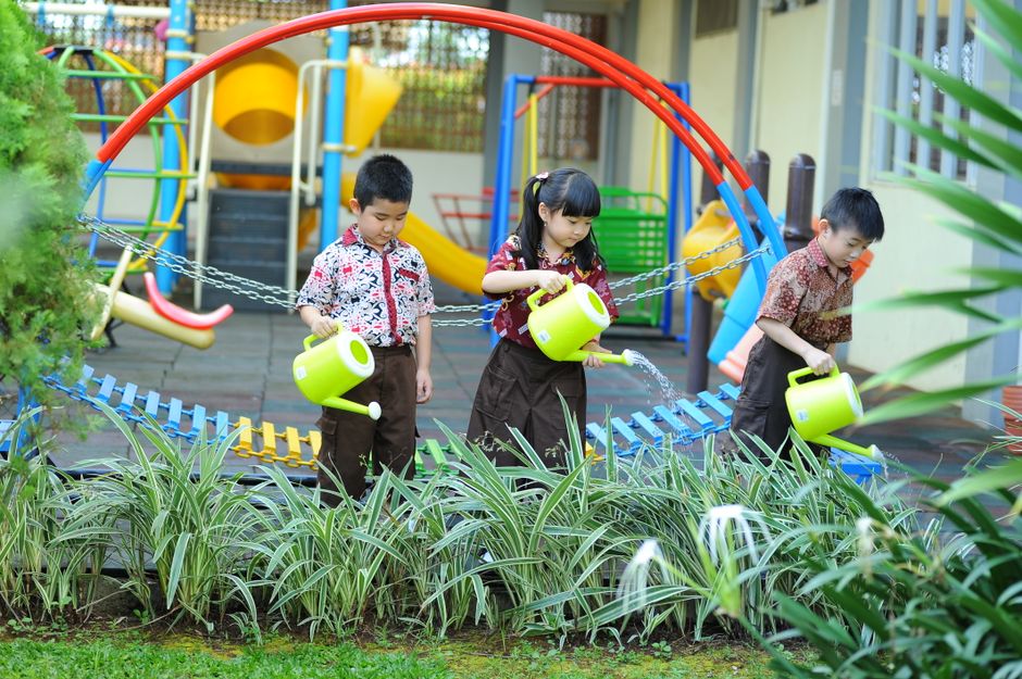 Kecerdasan Emosional: Tingkatkan Soft Skills untuk Sukses